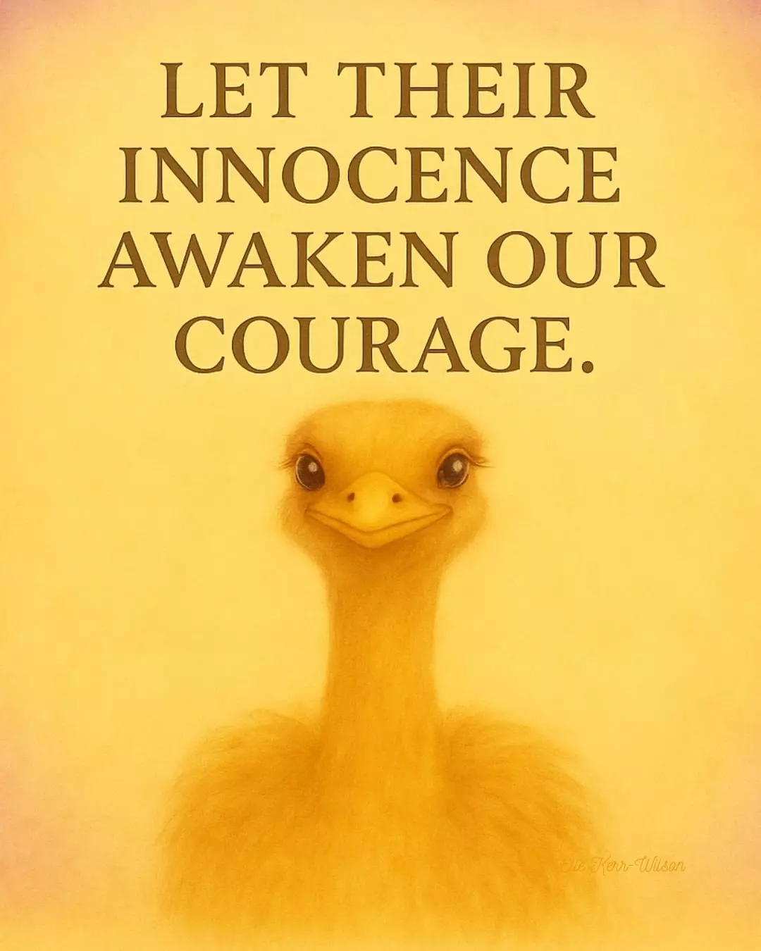 Ostrich image with bright sunshine