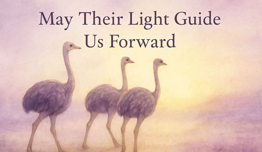 Highlight image of ostriches at dusk